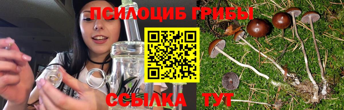 Галлюциногенные грибы прущие грибы  Вход с VPN  Зерноград 
